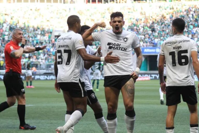 Botafogo conquista vitória decisiva, amplia liderança e supera Palmeiras na classificação